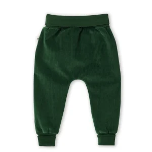 Pantaloni a coste Baby Verde Pino